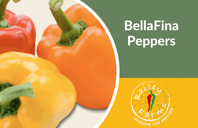 BellaFina Peppers