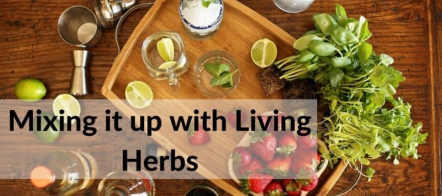 Mixing it up with Living Herbs