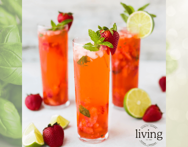 Strawberry and Basil Sangria