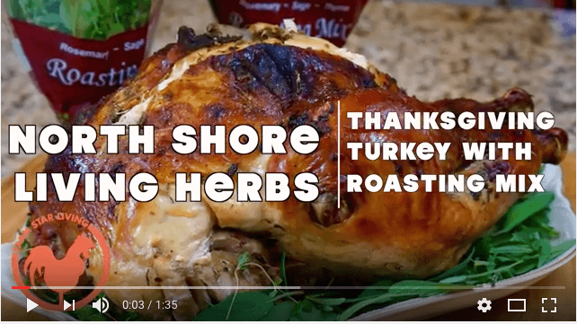 Thanksgiving Turkey with Roasting Mix Herbs