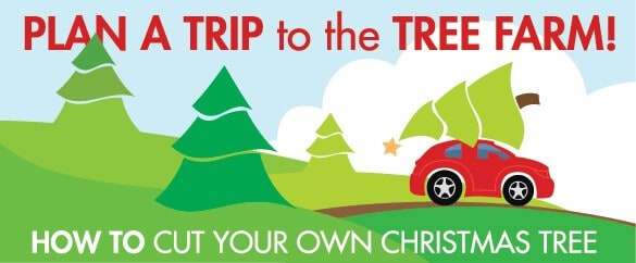 Take A Trip to the Tree Farm!