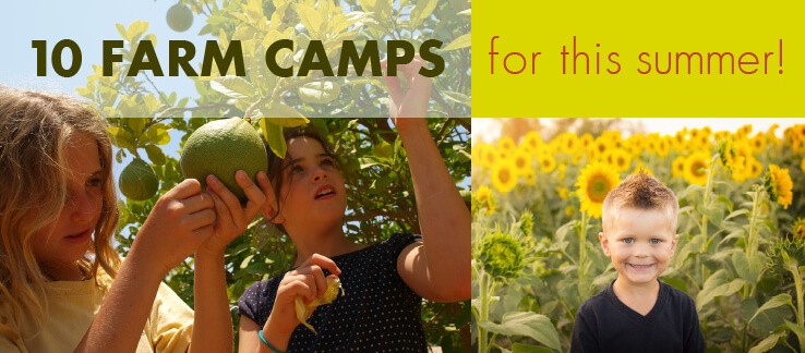 10 Farm Camps for this Summer!