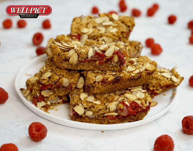 On-the-GO! Well-Pict Raspberry Morning Bars