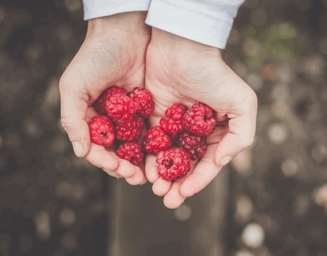 5 Berry Food Trends for Summer!