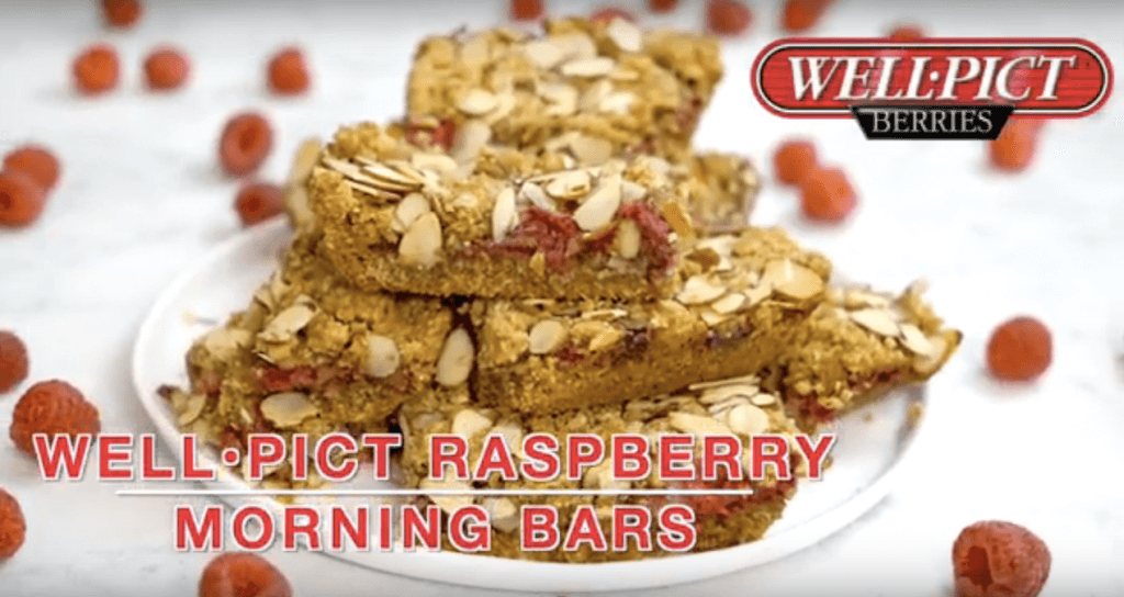 On-the-GO! Well-Pict Raspberry Morning Bars