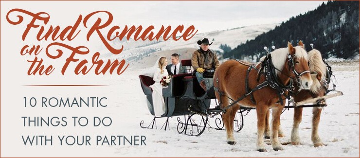 Find Romance on the Farm