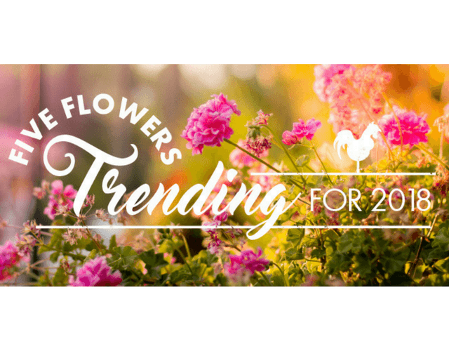 5 Flowers On Trend in 2018!