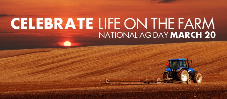 FARM LIFE - IT AIN'T Easy!