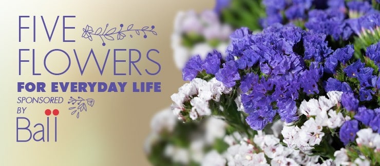 Everyday Flowers for Everyday Life