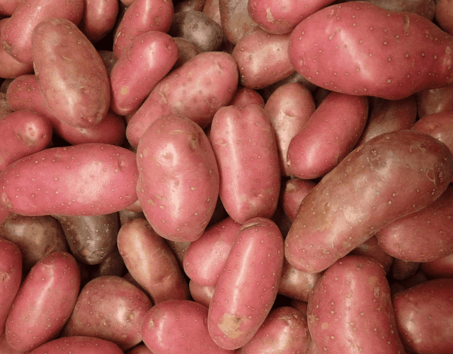 Klondike Rose® Potatoes