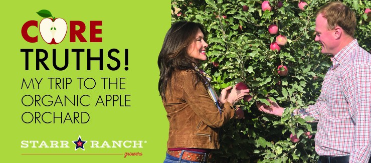 CORE TRUTHS: My Trip to the Organic Apple Orchard