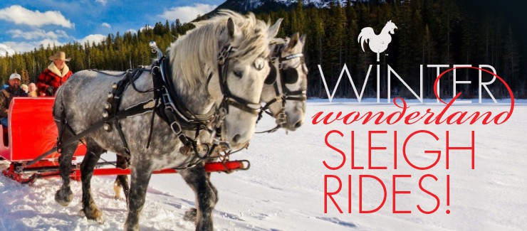 Winter Wonderland Sleigh Rides