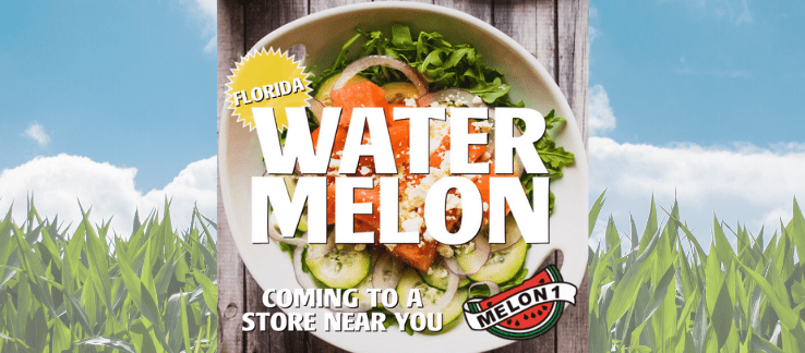 Melon 1 Watermelons - A Slice of Florida Sunshine!