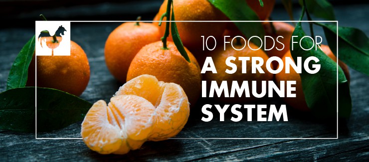 10 FOODS FOR A STRONG IMMUNE SYSTEM