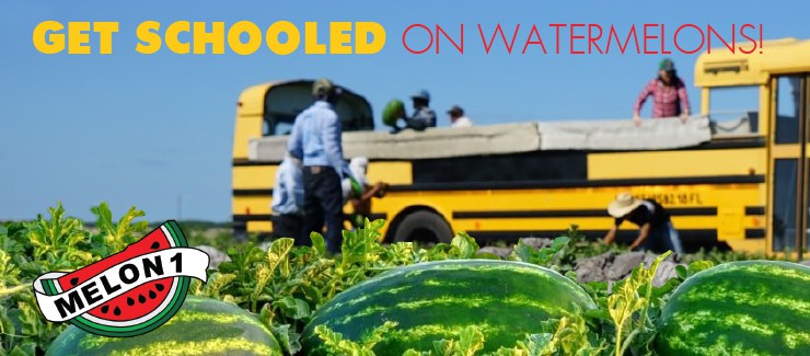 Get SCHOOLED on Watermelon!