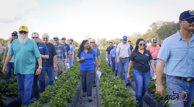 FSGA: Family of Farmers