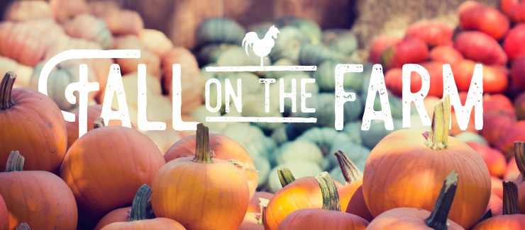 Fall on the Farm!