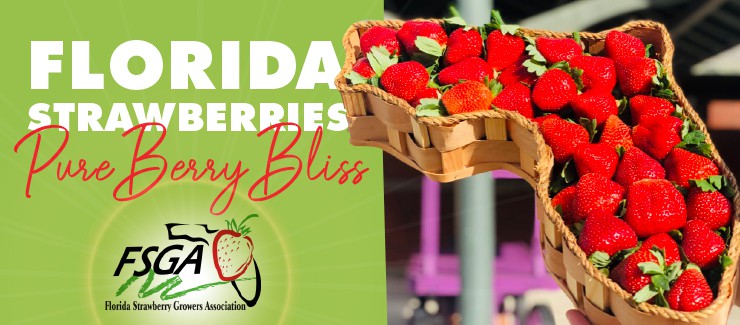 It's Finally Here - Florida Strawberry Season!