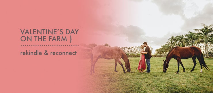 Valentine's Day On The Farm