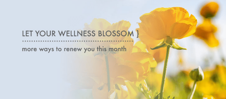 LET YOUR LIFE BLOSSOM: This Month's Theme