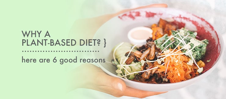 Reasons to Consider A Plant-Based Diet