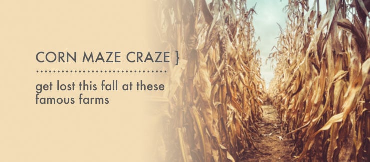 Corn Maze Craze