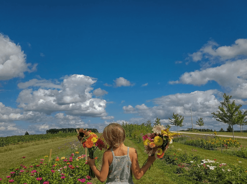 Berry and Bloom Farm