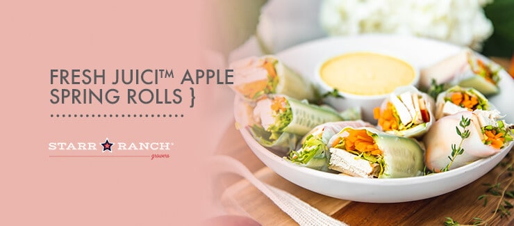 Fresh JUICI™ Apple Spring Rolls
