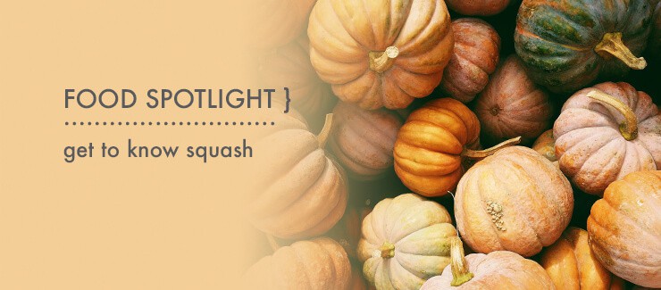 Get to Know Squash!