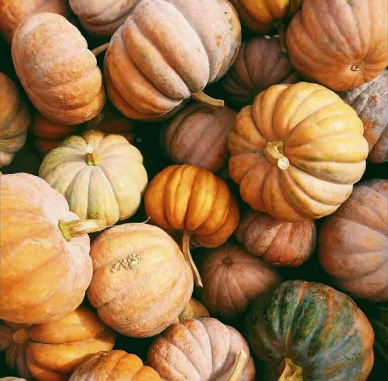 Pumpkin