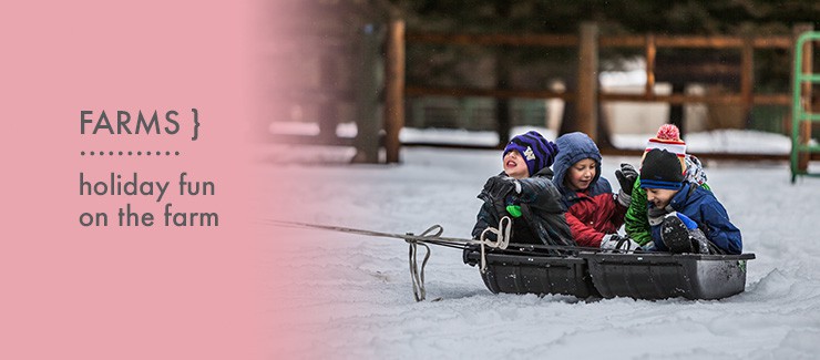 Holiday Fun on the Farm!