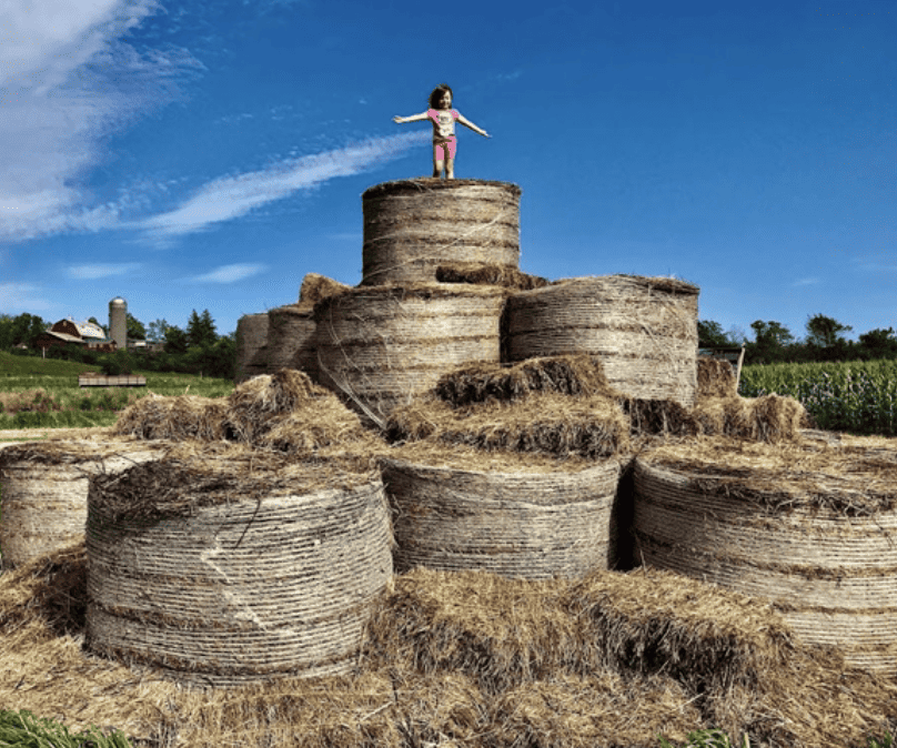 Fall Corn Mazes to Visit