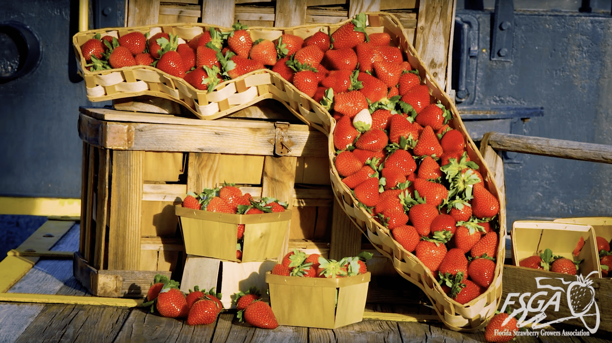 LOVE FLORIDA STRAWBERRIES!