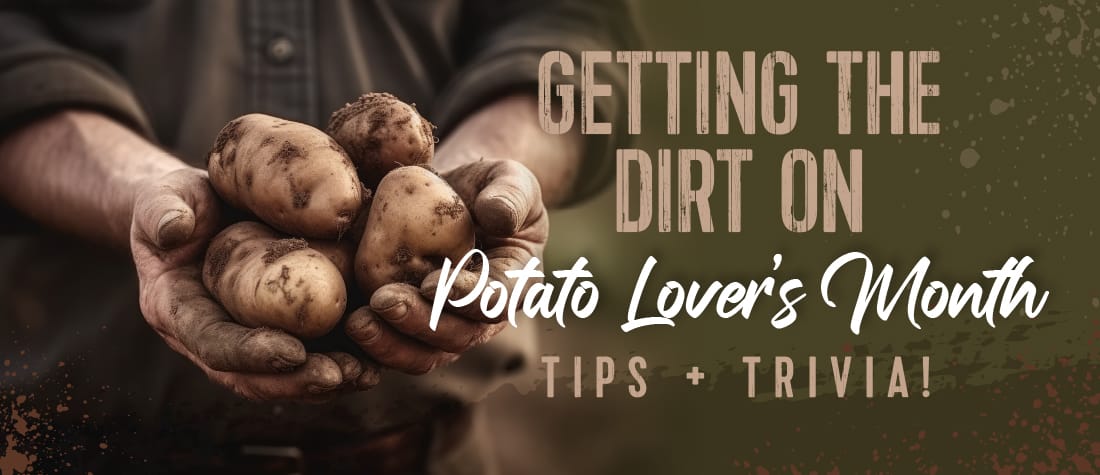 GETTING the DIRT on POTATO LOVER'S MONTH! Tips, Recipes & Trivia!
